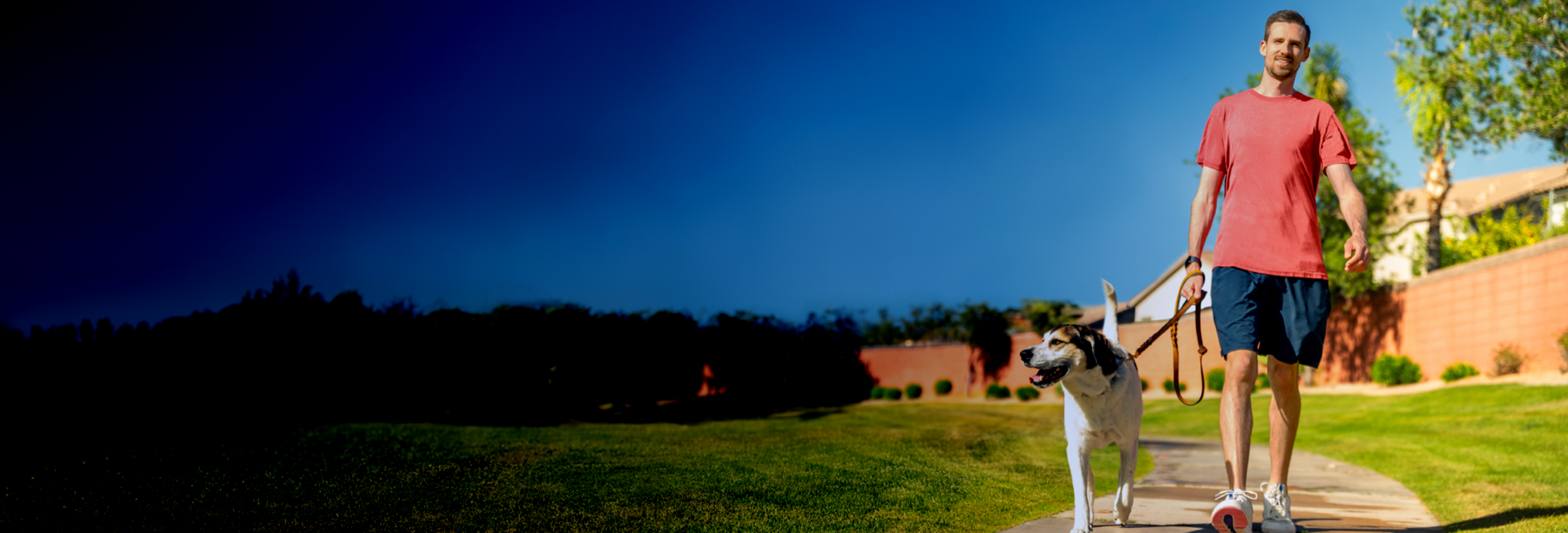 John, a TZIELD® (teplizumab-mzwv) patient, walking his dog outdoors